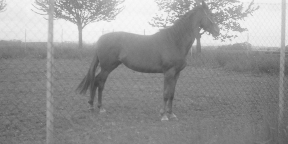 Nenápadné, avšak svérázné fotografie Michala Kalhouse vystavuje meziříčská Galerie Kaple