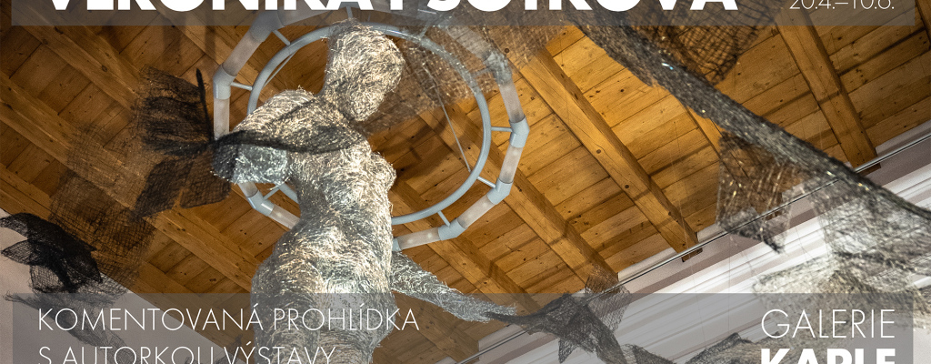 Poslední možnost setkat se s neopakovatelnou instalací i samotnou autorkou výstavy. Komentovaná prohlídka s Veronikou Psotkovou.