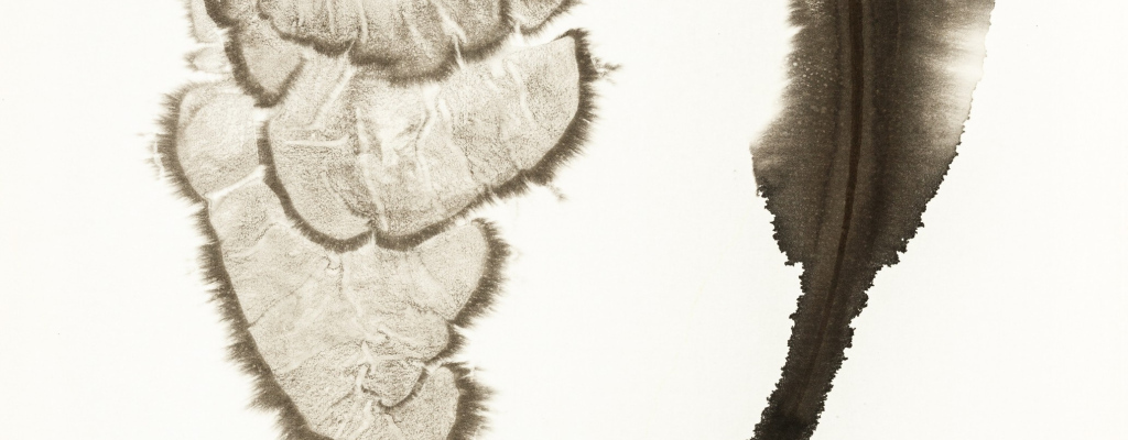 Náhodné kresby tuší Petra Nikla v meziříčské galerii