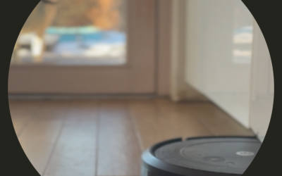 JANA ZHOŘOVÁ — I Was One Thing, Now I Am Being Another  